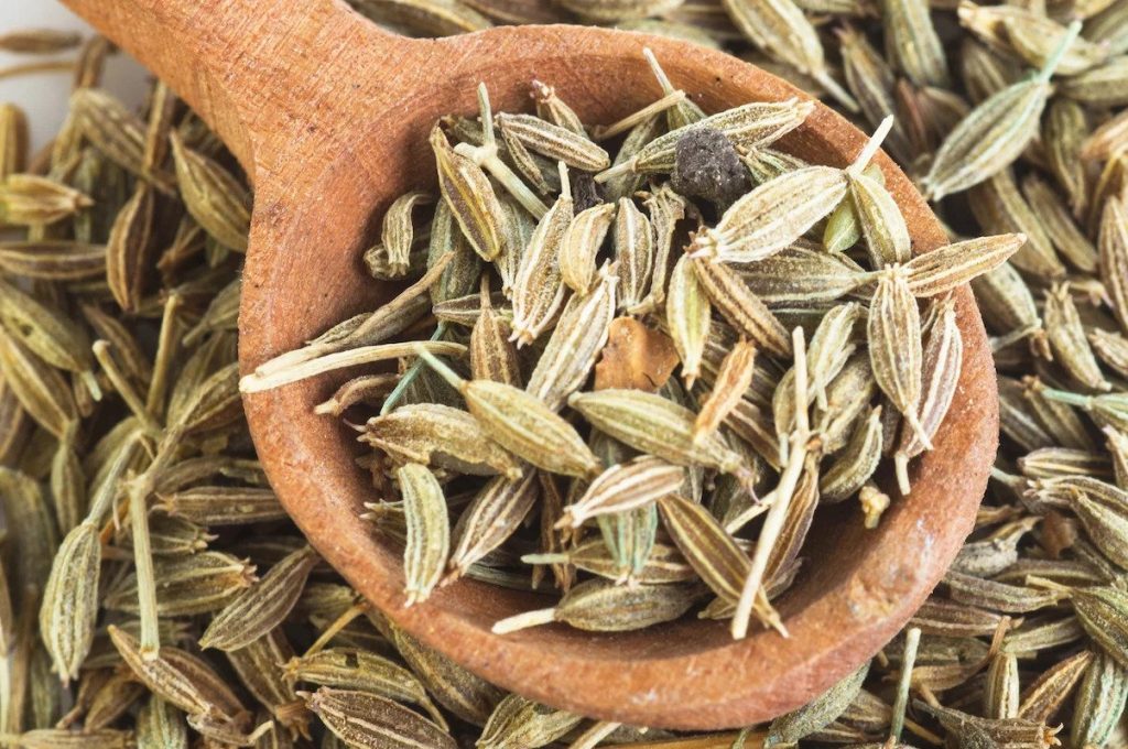 Anise Seeds YOREM TARIM